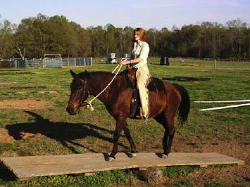 Balance beam develops trust in leader. Horse gains confidence to achieve firm footing while balancing.