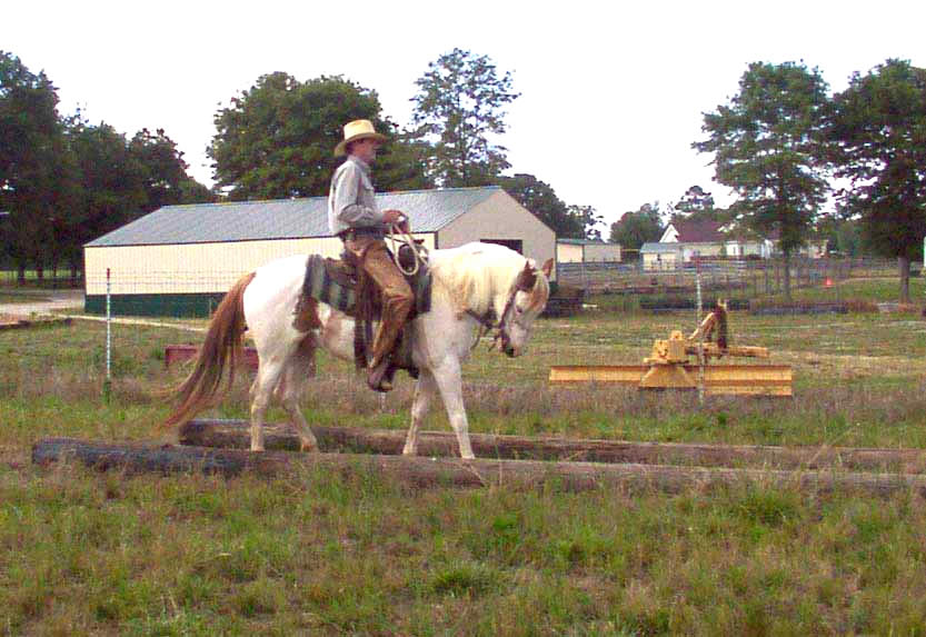 Improving straight horse backing, also confidence course poles used for sidepassing training exercise