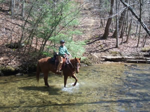 Big Fork Trail Ride