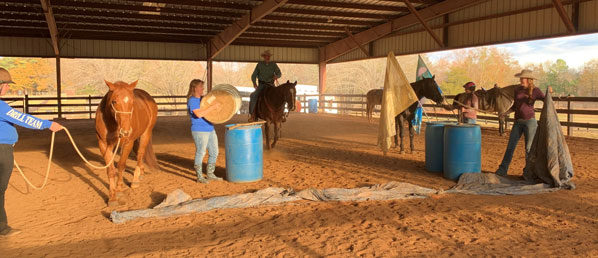 Despooking Equestrian Clinic - Ed Dabney Gentle  Horsemanship