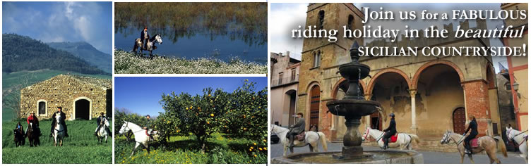 Join us for a Fabulous riding holiday in the beautiful sicilian countryside!