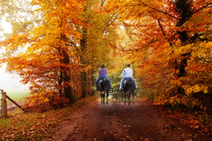 Fall Colors Ride