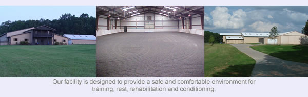 Our facility is designed to provide a safe and comfortable environment for training, rest, rehabilitation and conditioning