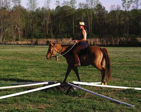 Confidence Course Wagon Wheel. Horse foot placement exercise, horse attention to obstacle and foot placement