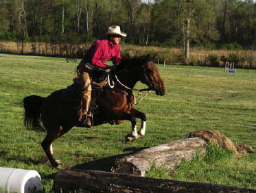 Horse jumping exercise. Also used for lunging, longe, lunge training