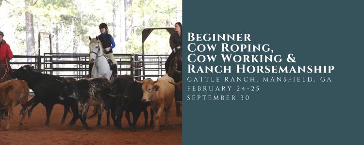 Cow Working, Ranch Horsemanship, Beginner Roping