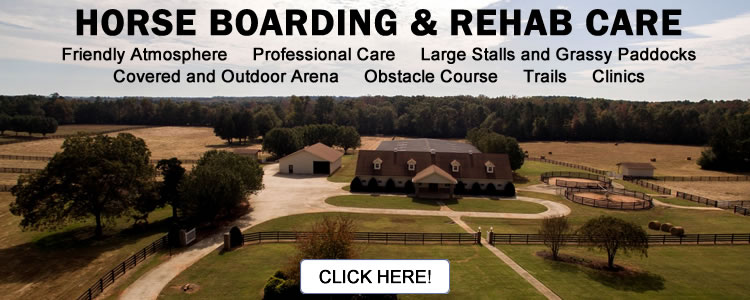 Horse Boarding and Rehab Care