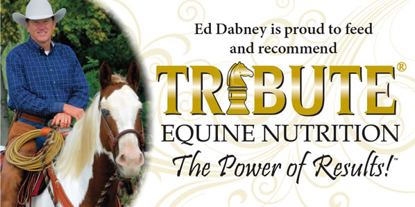 Tribute Equine Nutrition