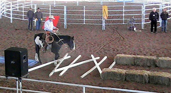 2007 Equine Extravaganza