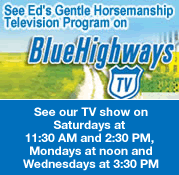 See Ed's Gentle Horsemanship Television Program on Blue Highways TV