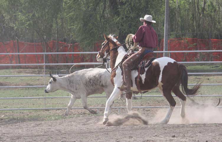 Beginner Ranch Roping Clinic