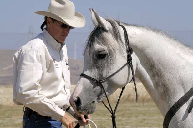 Ed Dabney Horse Training