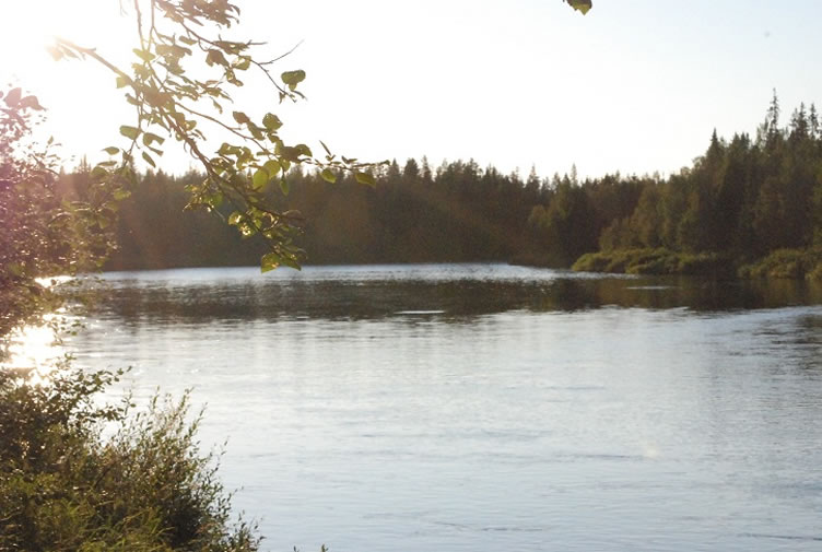 Midnight Sun Swedish Adventure
