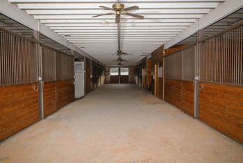 Horse Boarding Georgia - Interior Stable