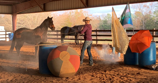 Despooking Your Horse Clinic