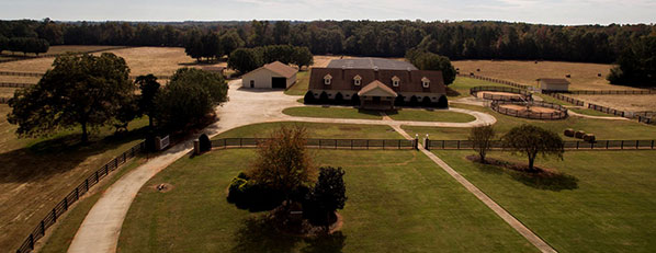 Horse Boarding and Rehab Care