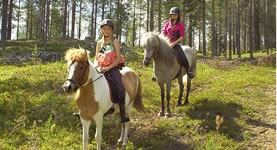 Swedish Horsback Adventure