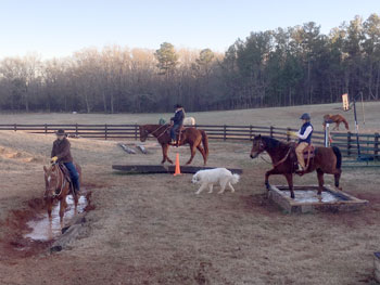 Trail Riding Clinic with Ed Dabney