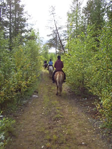 Midnight Sun Swedish Adventure