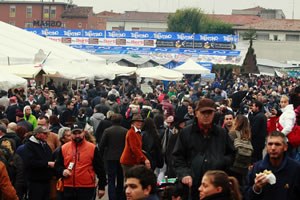 Verona Horse Fair