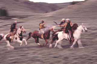 Mounted horse action, training, in movie and feature film, television